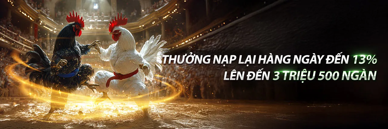 Khuyến mãi 88blc 2026: Ưu đãi hấp dẫn cho cá cược trực tuyến
